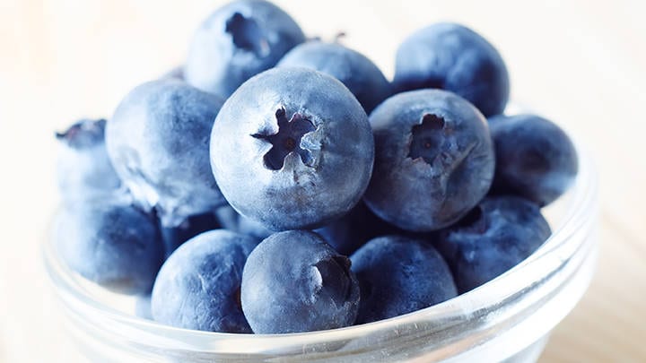 wild blueberries