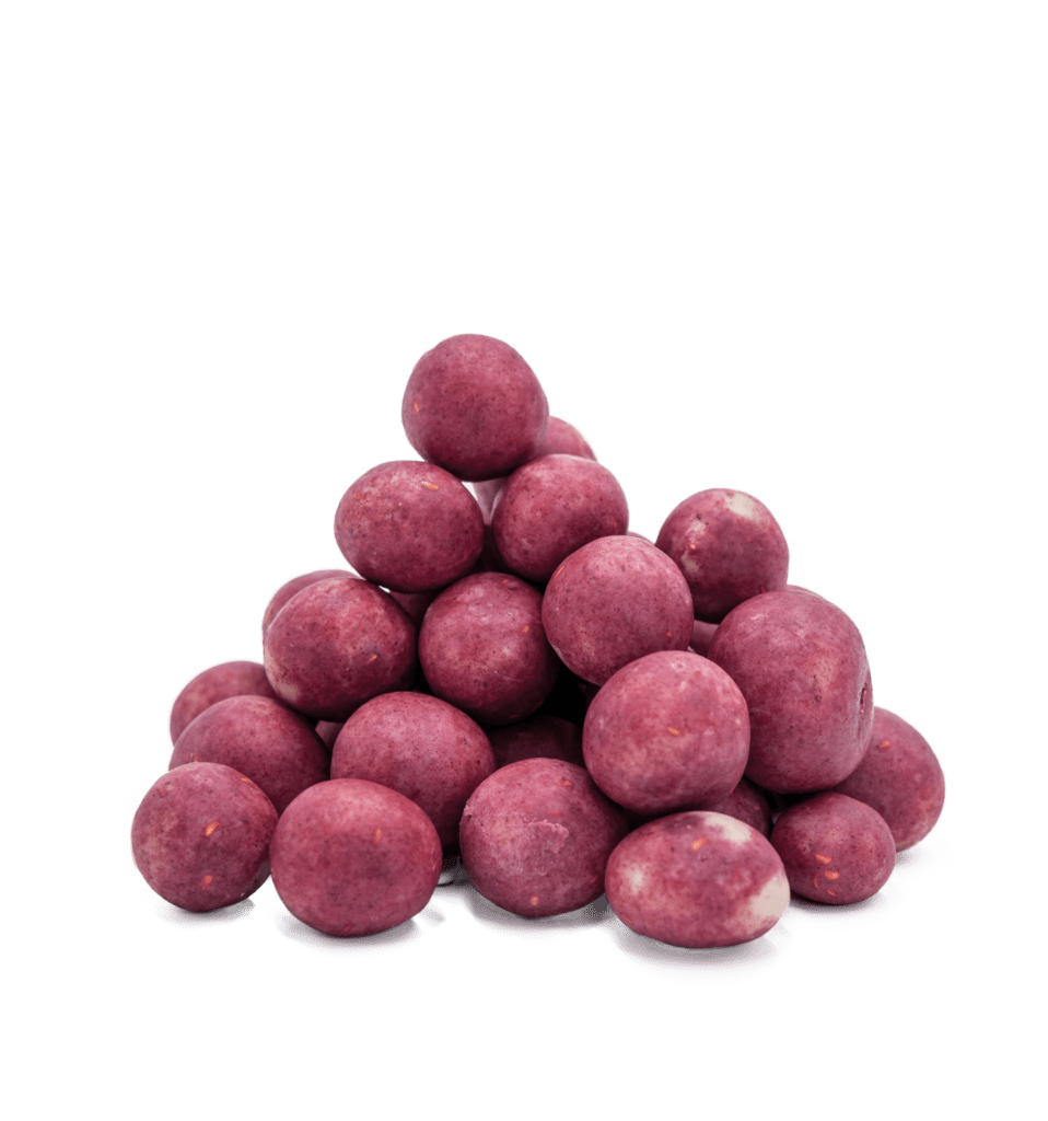 freeze dried chocolate covered raspberries